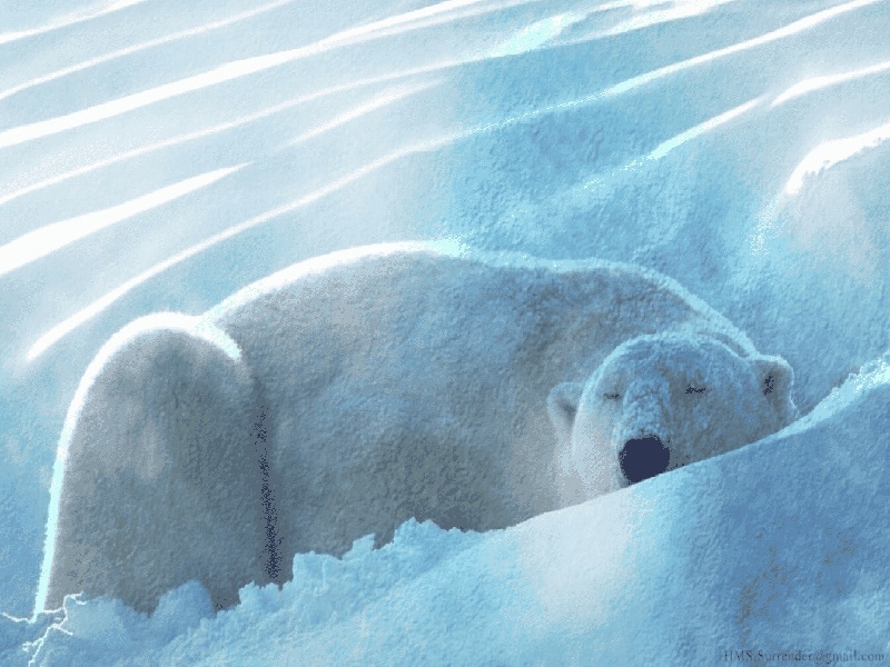 泰森试管婴儿，河北2020试管价格