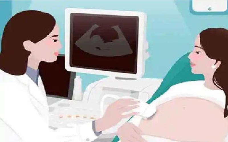 试管移植基础知识代生