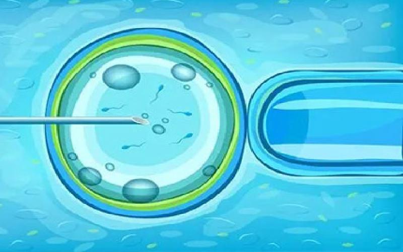 冻卵试管宝宝代生